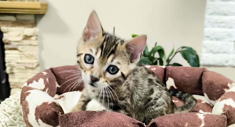 Márciustól repülhetem hozzád