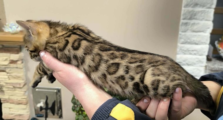 Márciustól repülhetem hozzád