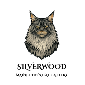 Profilkép kiválasztása