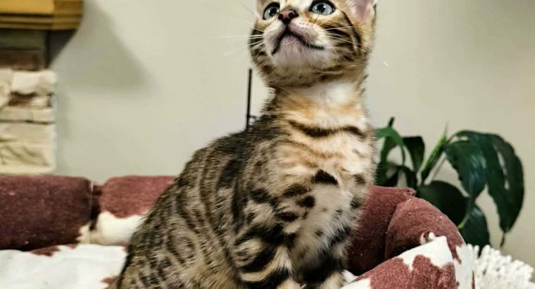 Márciusban költözhetem