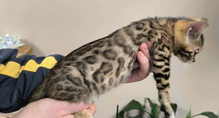 Márciustól repülhetem hozzád