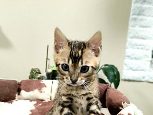 Márciusban költözhetem