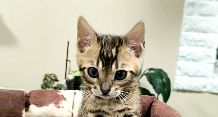 Márciusban költözhetem