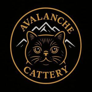 Profilkép kiválasztása