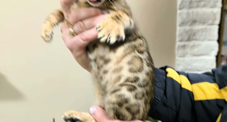 Márciustól repülhetem hozzád