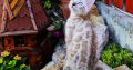 Snow Lynx bengáli kisfiú eladó