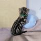 Brit rövidszőrű tabby kandúrka