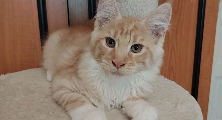 Eric