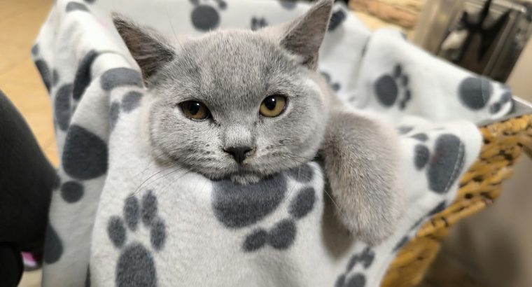 Azonnal cuccolhatom hozzád